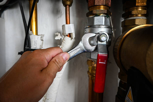Best Pipe Repair Near Me  in Fredonia, NY